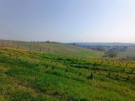 ALLENAMENTO DI NORDIC WALKING