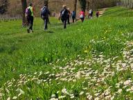 ALLENAMENTO DI NORDIC WALKING
