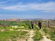 ALLENAMENTO DI NORDIC WALKING