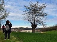 ALLENAMENTO DI NORDIC WALKING