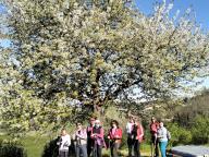 ALLENAMENTO DI NORDIC WALKING