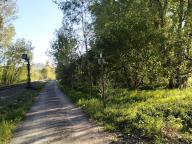 NORDIC WALKING BENESSERE