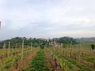 ALLENAMENTO DI NORDIC WALKING