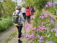 ALLENAMENTO DI NORDIC WALKING