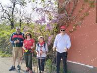 ALLENAMENTO DI NORDIC WALKING
