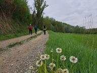 ALLENAMENTO DI NORDIC WALKING