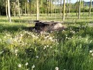 NORDIC WALKING BENESSERE