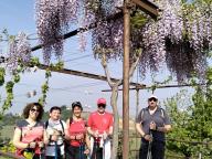 ALLENAMENTO DI NORDIC WALKING