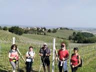 ALLENAMENTO DI NORDIC WALKING