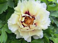 ALLENAMENTO DI NORDIC WALKING