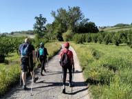 ALLENAMENTO DI NORDIC WALKING