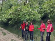 ALLENAMENTO DI NORDIC WALKING