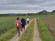 NORDIC WALKING BENESSERE