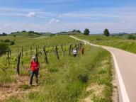 ALLENAMENTO DI NORDIC WALKING