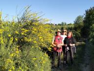 NORDIC WALKING BENESSERE