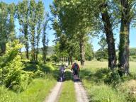 ALLENAMENTO DI NORDIC WALKING