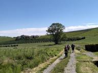 ALLENAMENTO DI NORDIC WALKING