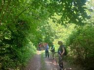 ALLENAMENTO DI NORDIC WALKING