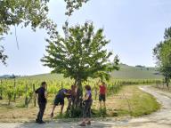 ALLENAMENTO DI NORDIC WALKING