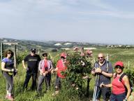 ALLENAMENTO DI NORDIC WALKING