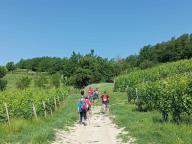 ALLENAMENTO DI NORDIC WALKING