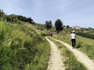 ALLENAMENTO DI NORDIC WALKING