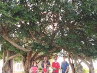 ALLENAMENTO DI NORDIC WALKING