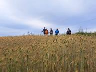 ALLENAMENTO DI NORDIC WALKING