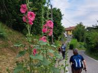 ALLENAMENTO DI NORDIC WALKING