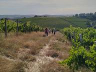 NORDIC WALKING BENESSERE