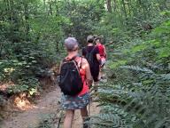 ALLENAMENTO DI NORDIC WALKING