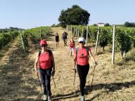 ALLENAMENTO DI NORDIC WALKING
