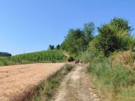 ALLENAMENTO DI NORDIC WALKING