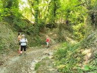 ALLENAMENTO DI NORDIC WALKING