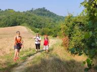 ALLENAMENTO DI NORDIC WALKING