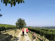 ALLENAMENTO DI NORDIC WALKING