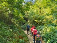 ALLENAMENTO DI NORDIC WALKING
