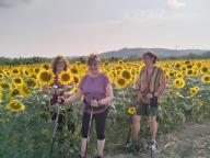 NORDIC WALKING BENESSERE