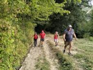 ALLENAMENTO DI NORDIC WALKING