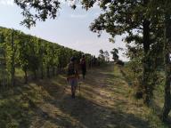 ALLENAMENTO DI NORDIC WALKING