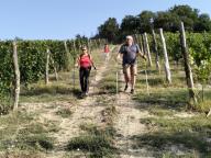 ALLENAMENTO DI NORDIC WALKING
