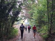 ALLENAMENTO DI NORDIC WALKING