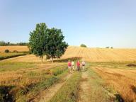 ALLENAMENTO DI NORDIC WALKING