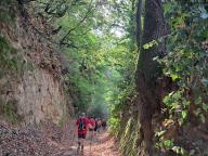ALLENAMENTO DI NORDIC WALKING