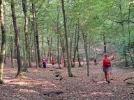 ALLENAMENTO DI NORDIC WALKING