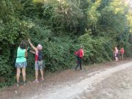 ALLENAMENTO DI NORDIC WALKING