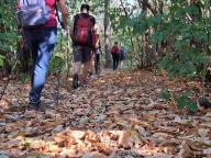 ALLENAMENTO DI NORDIC WALKING