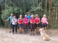 ALLENAMENTO DI NORDIC WALKING