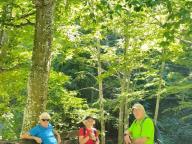 ALLENAMENTO DI NORDIC WALKING