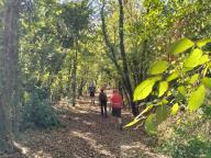 ALLENAMENTO DI NORDIC WALKING